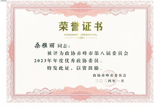 回望2024奮進(jìn)路，闊步2025新征程 | 地市級(jí)榮譽(yù)大盤點(diǎn)（一）