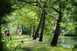 randonnée foret loches hotel luccotel